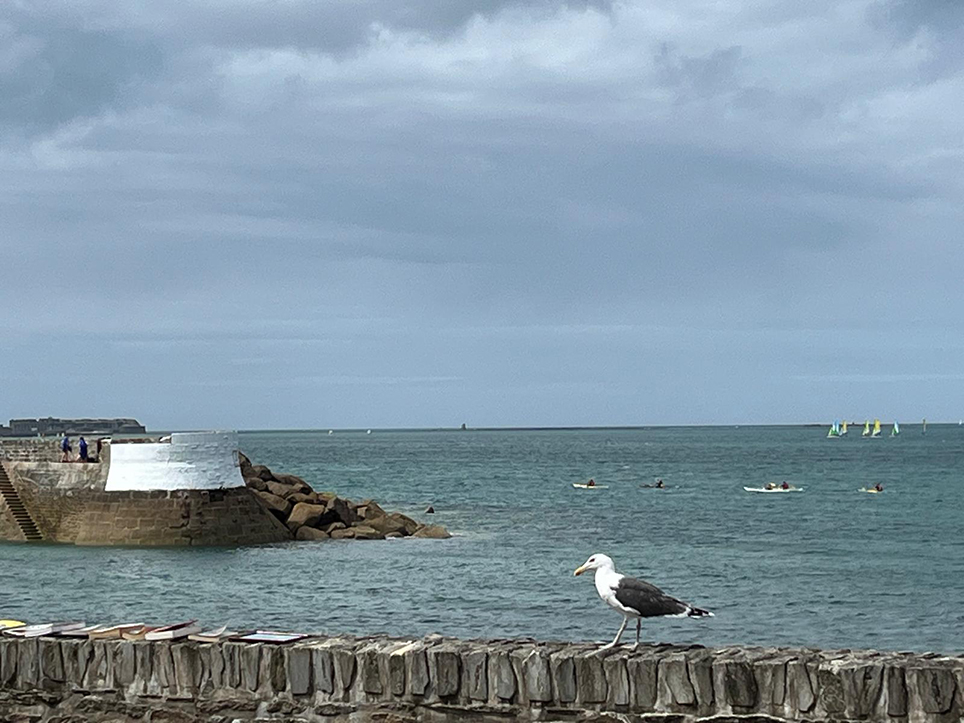 Accueil 9 Vue sur le port du Becquet et de la rade de Cherbourg en Cotentin en arrière plan