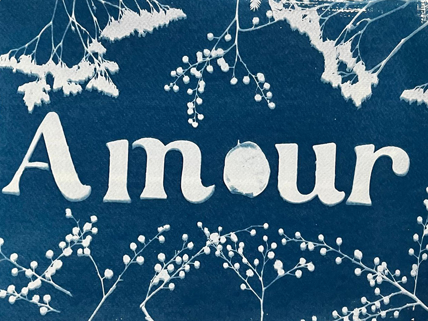 Mes créations 3 Lumières du Cotentin : Composition bucolique en cyanotype, créations artisanales françaises