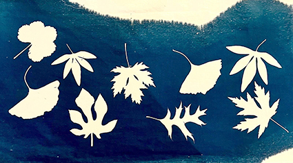 A propos 5 Impression en cyanotype pour la conception d'un abat-jour fait main